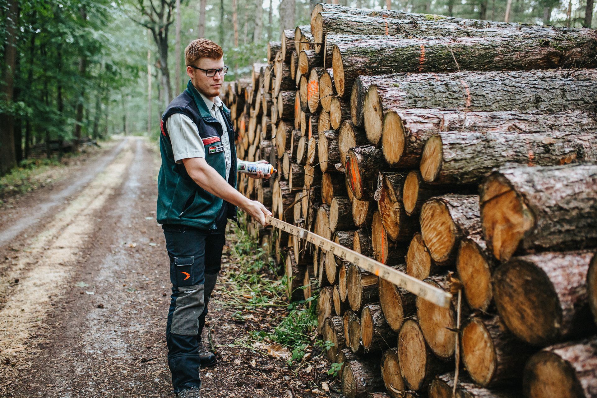 Holzstapel im Wald