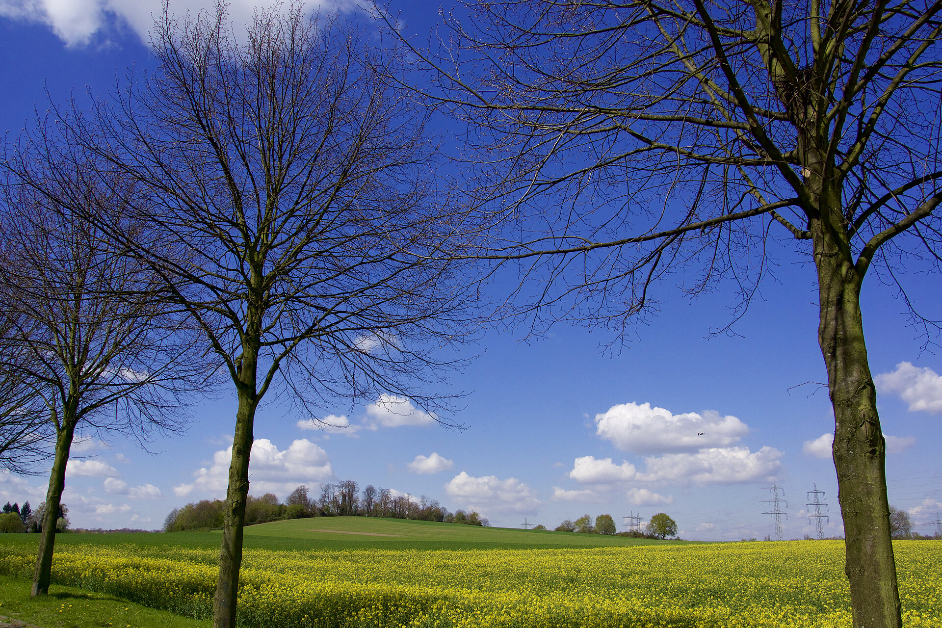 Blick auf den Mechtenberg im gleichnamigen Landschaftspark im Frühling.