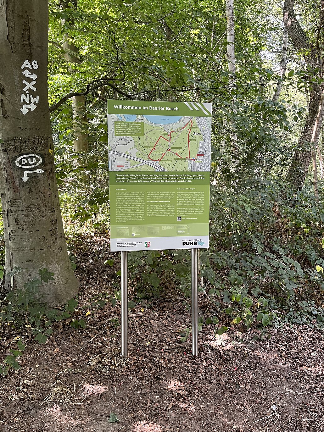 Infotafel des RVR über den Infopfad durch den Baerler Busch
