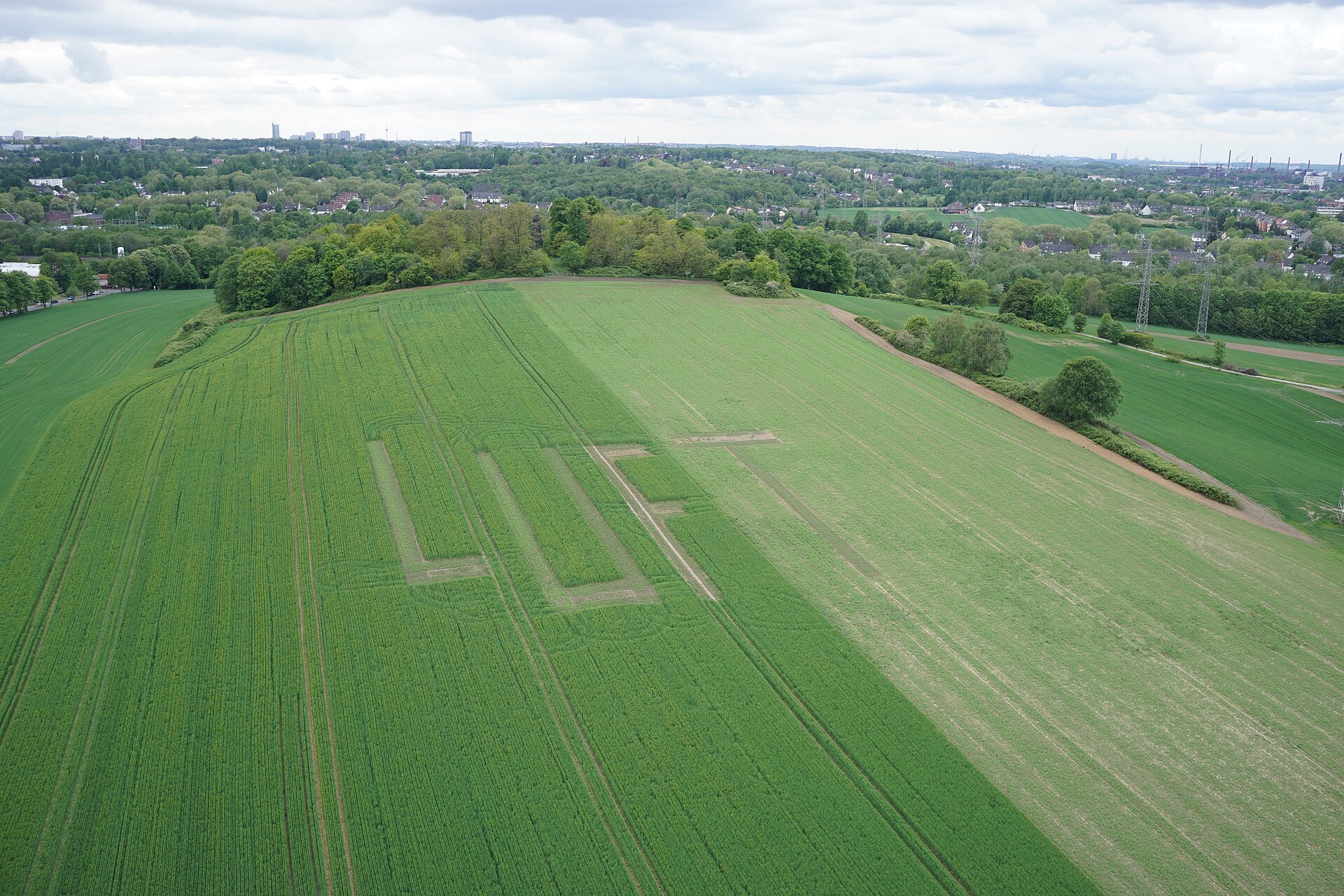 Landschaftsinszenierung am Mechtenberg im Mai 2019. Der Vergleich mit dem Drohnen-Foto vom März zeigt: Langsam wird die Landschaft grüner. 