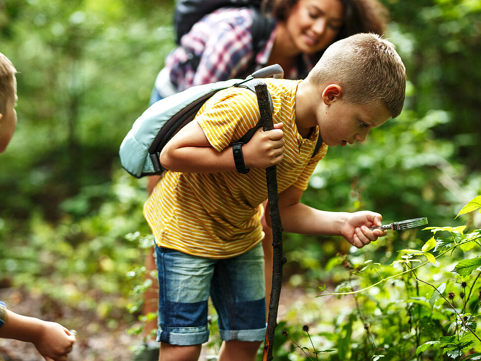 Kinder auf einer Exkursion im Wald