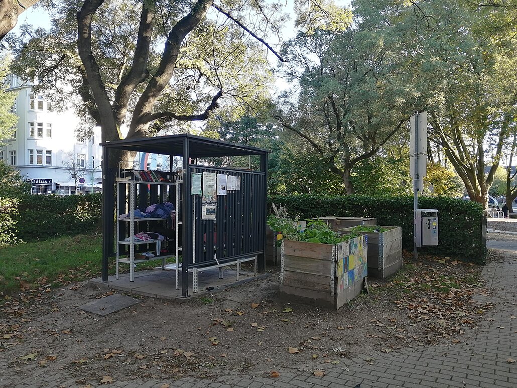 Give-Box und Hochbeete im Blücherpark
