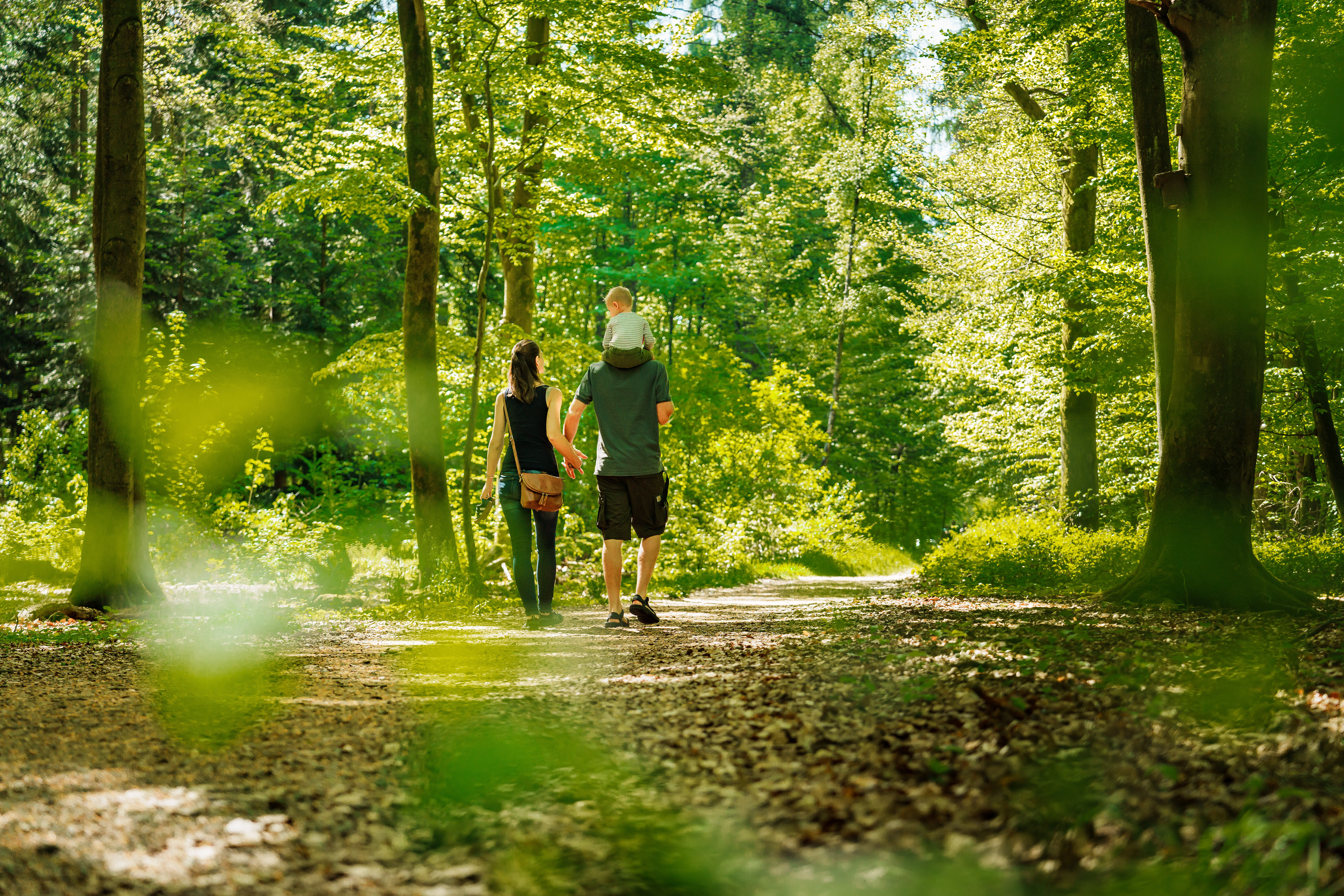 Meilerwochen, Haard Haltern Zwei Personen spazieren mit einem Kinde durch den Wald.