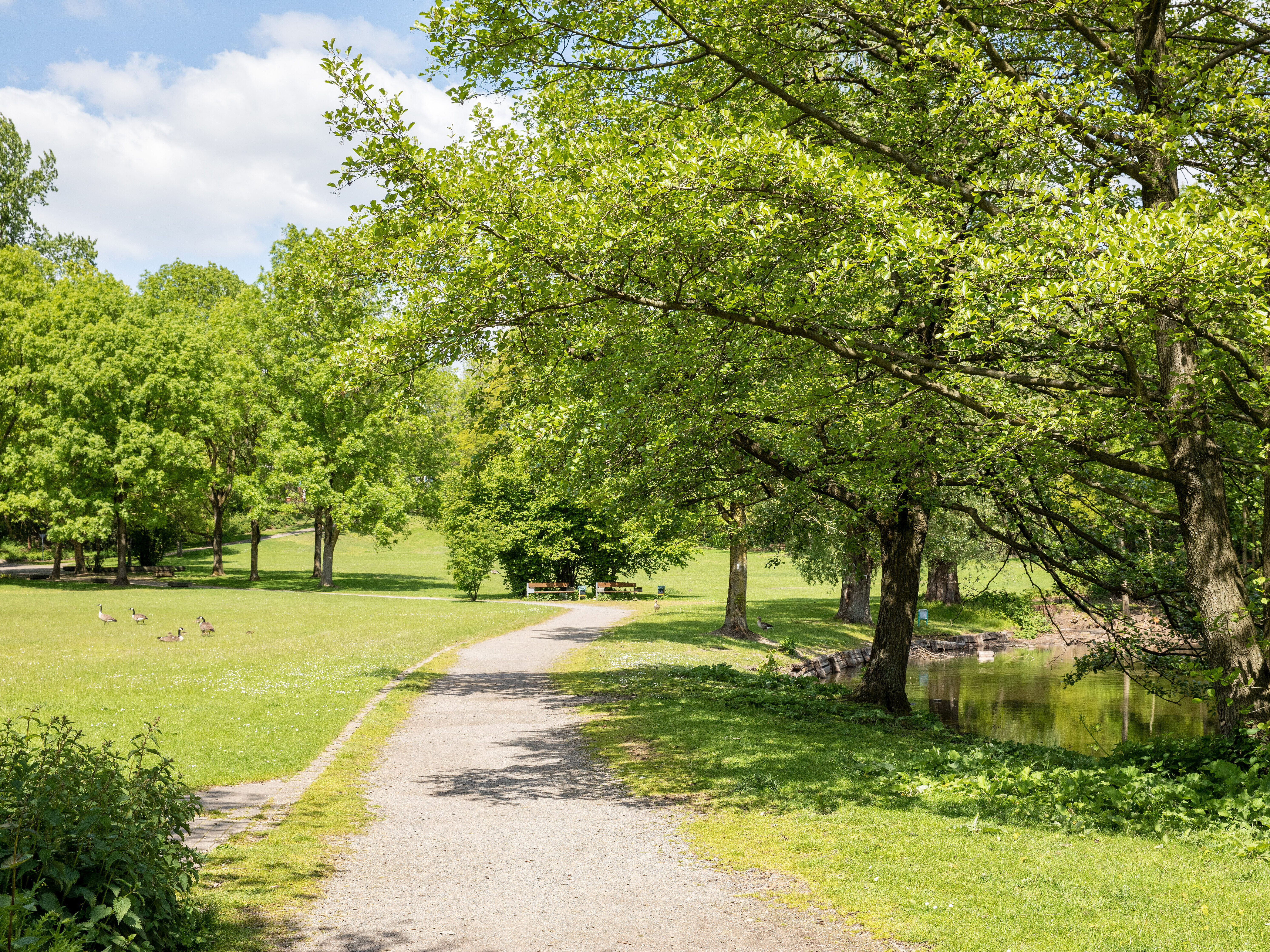 Blick einen See und Weg im Revierpark Vonderort