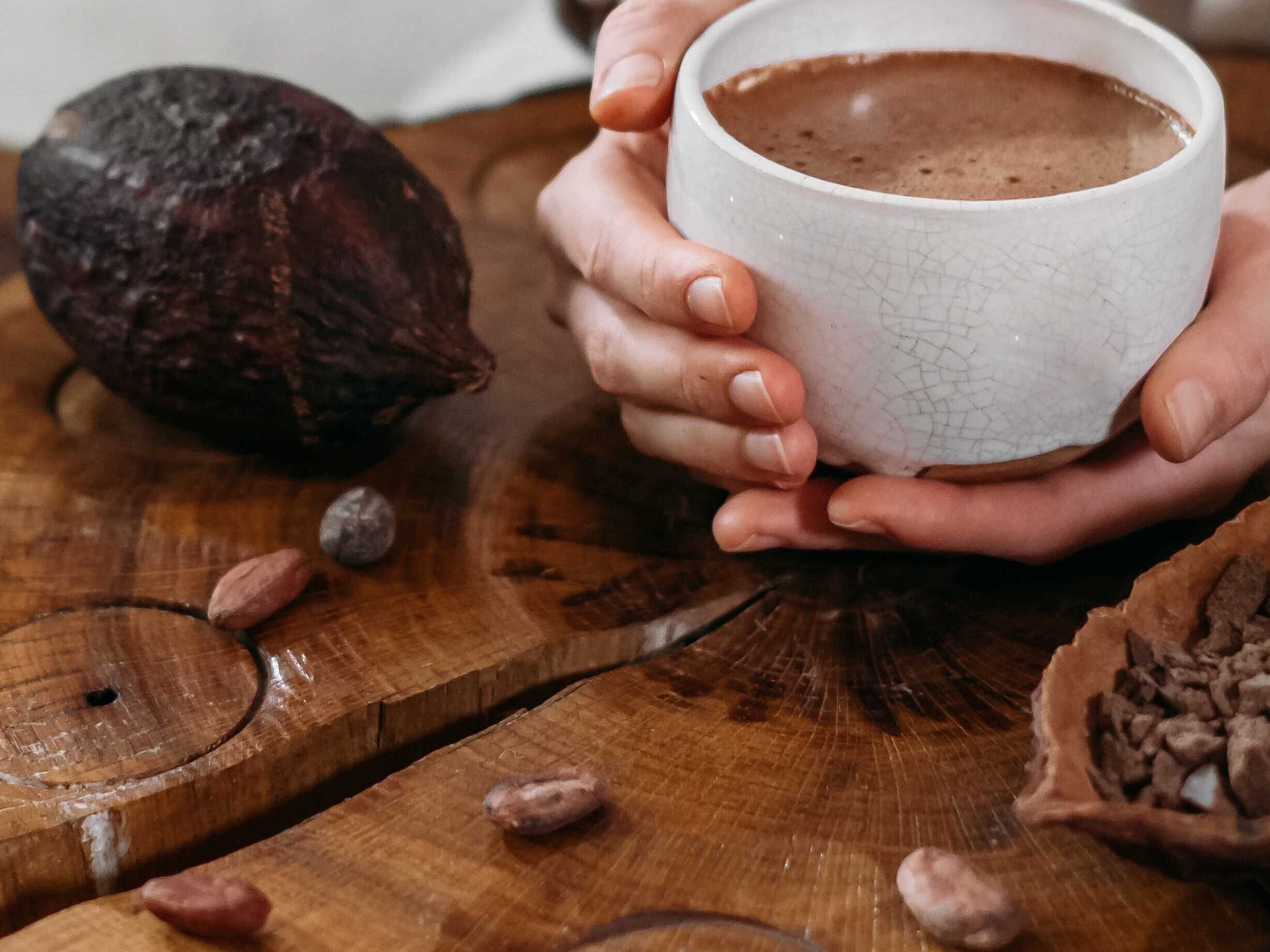 Eine Person hält eine Tasse mit Kakao in ihren Händen. Neben ihr liegen Kakeobohnen