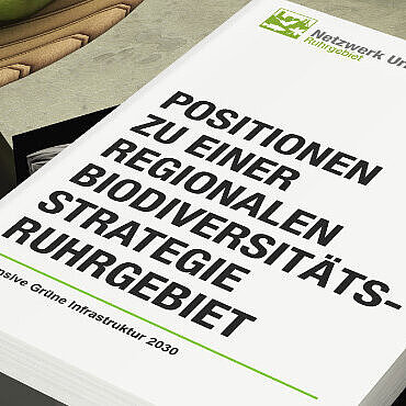 Cover der Positionspapiere