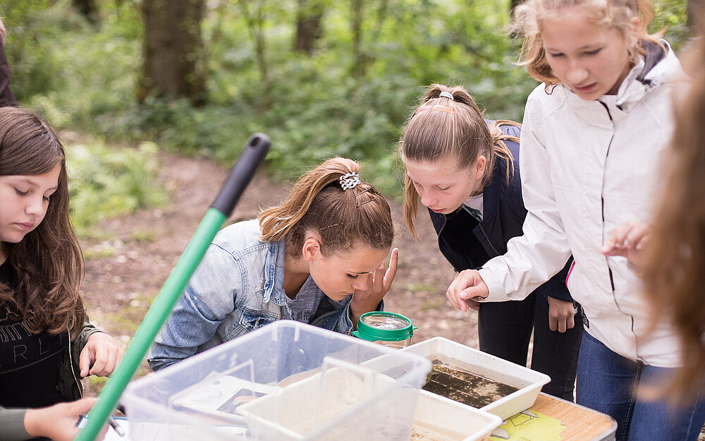 Kinder beim Freilandunterricht am RVR-Heidhof in Bottrop.