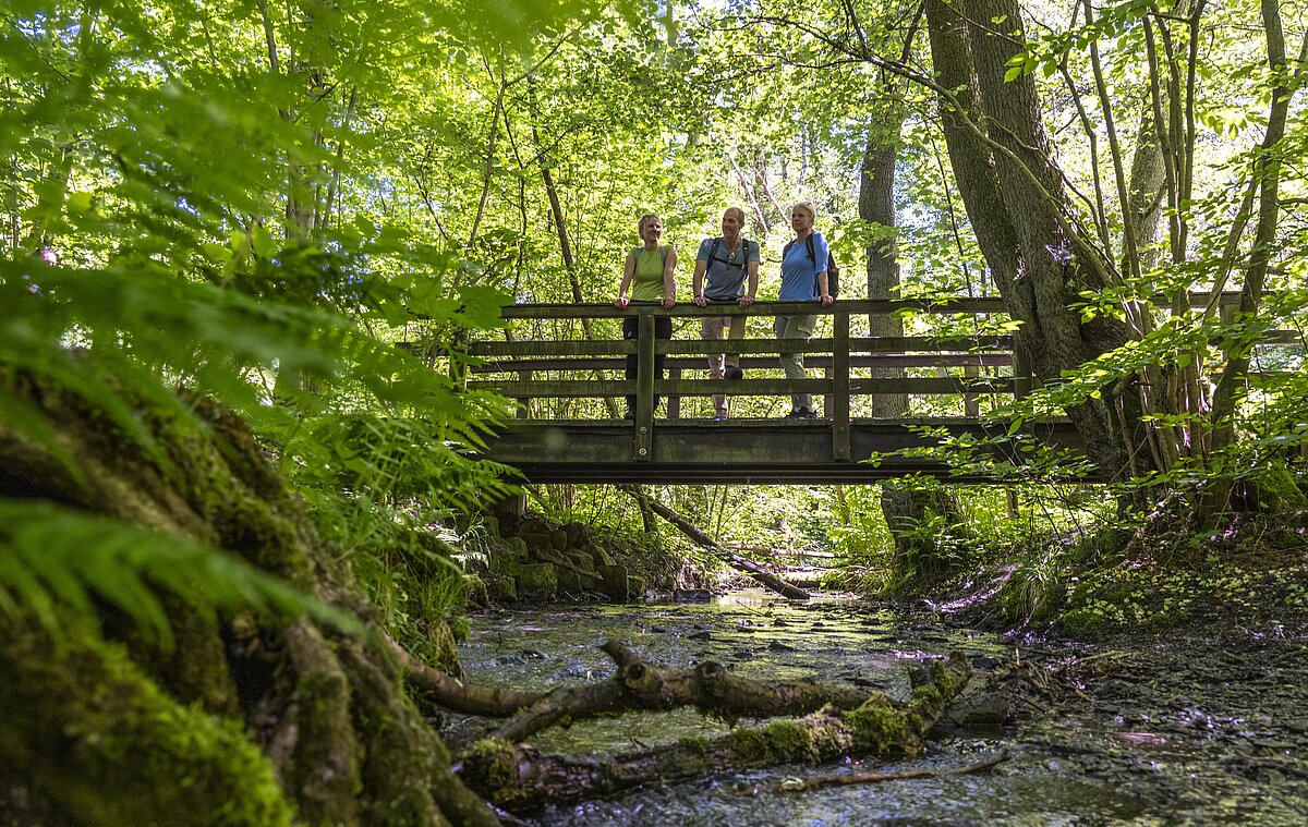 Hiking Day Ruhr 2026
