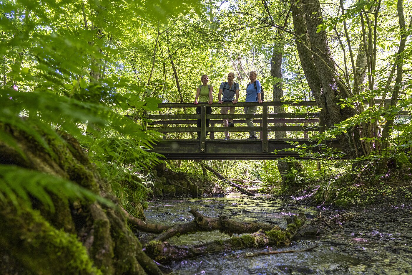 Hiking Day Ruhr 2026