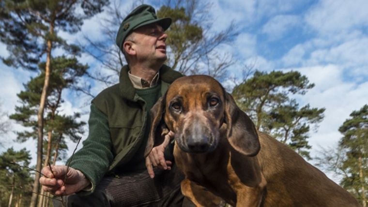 Förster Christoph Beemelmanns mit seinem Jagdhund