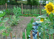 Blick auf eine eingezäunte Gartenparzelle
