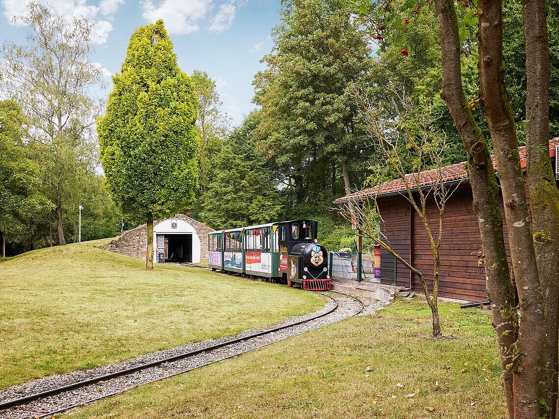 Eisenbahn fährt durch den Park.