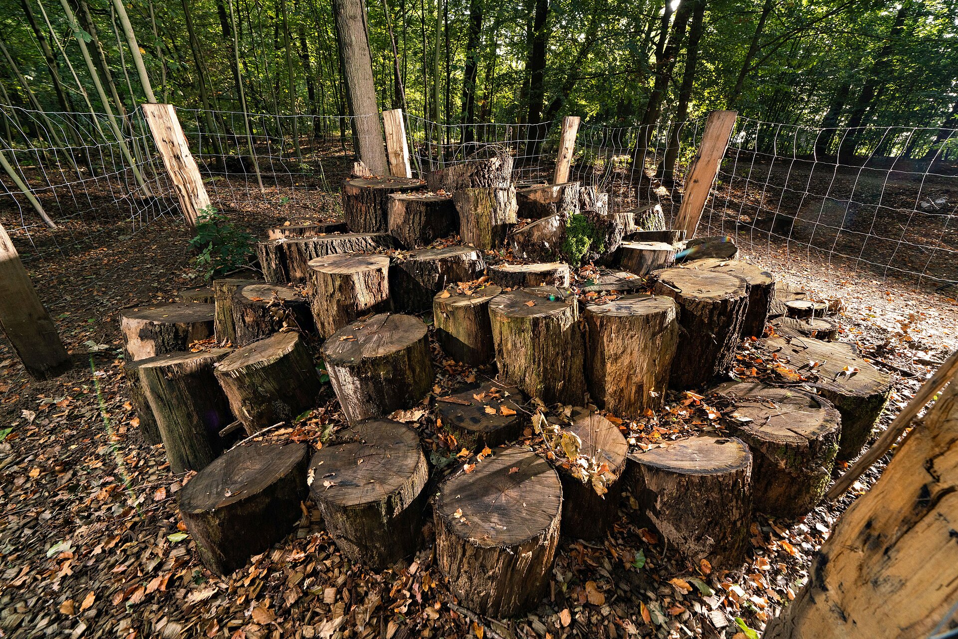 Die neue Waldpromenade in der Haard zwischen Marl und Oer-Erkenschwick.