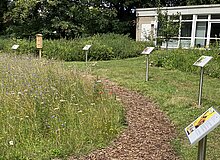 Blick auf die Beschilderung am Wildbienenlehrpfad in Herten