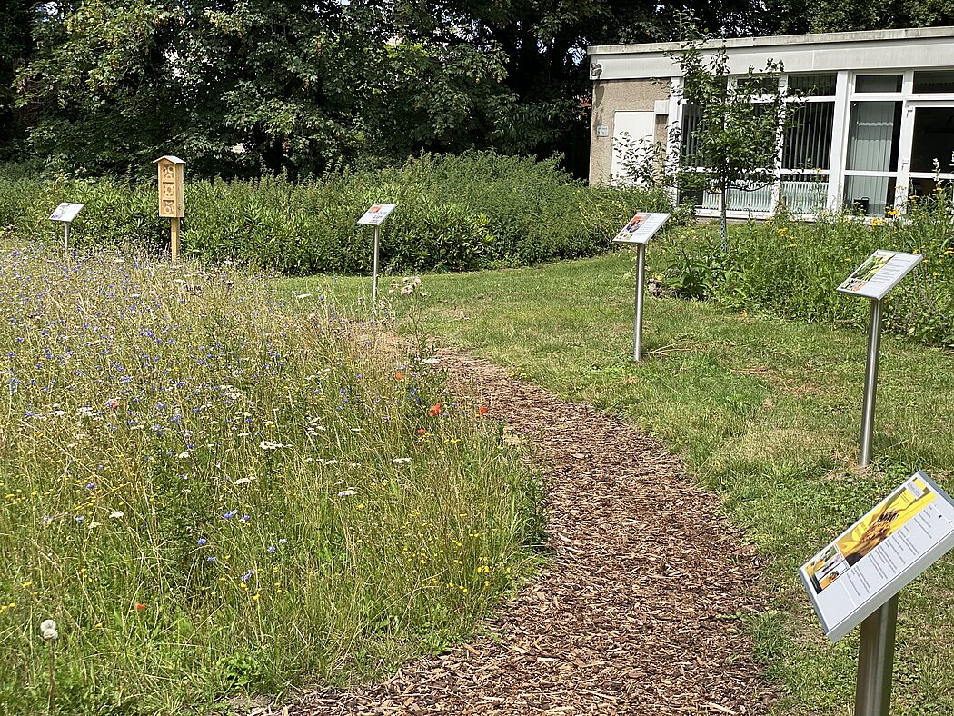 Blick auf die Beschilderung am Wildbienenlehrpfad in Herten