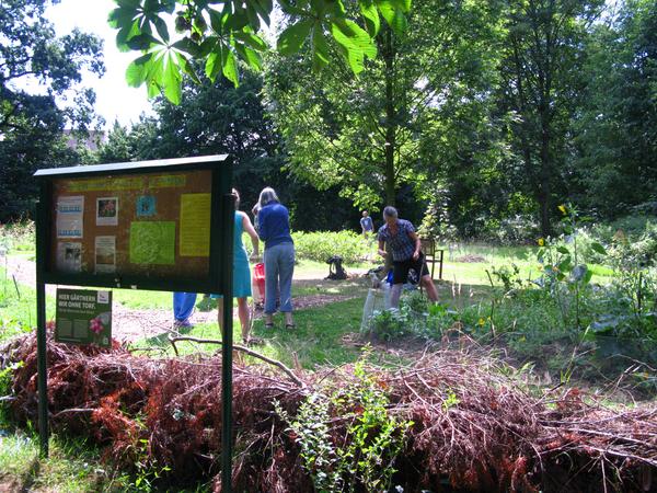 Gemeinschaftsgarten. Gemeinschaftliches Gärtnern in einem Gemeinschaftsgarten in Essen.