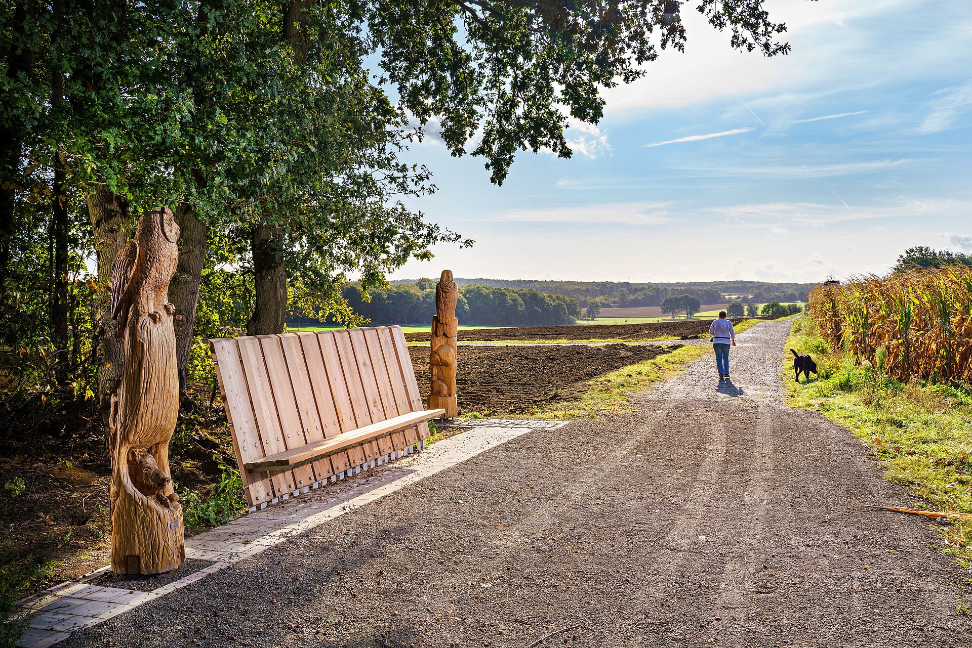 Die neue Waldpromenade in der Haard zwischen Marl und Oer-Erkenschwick.