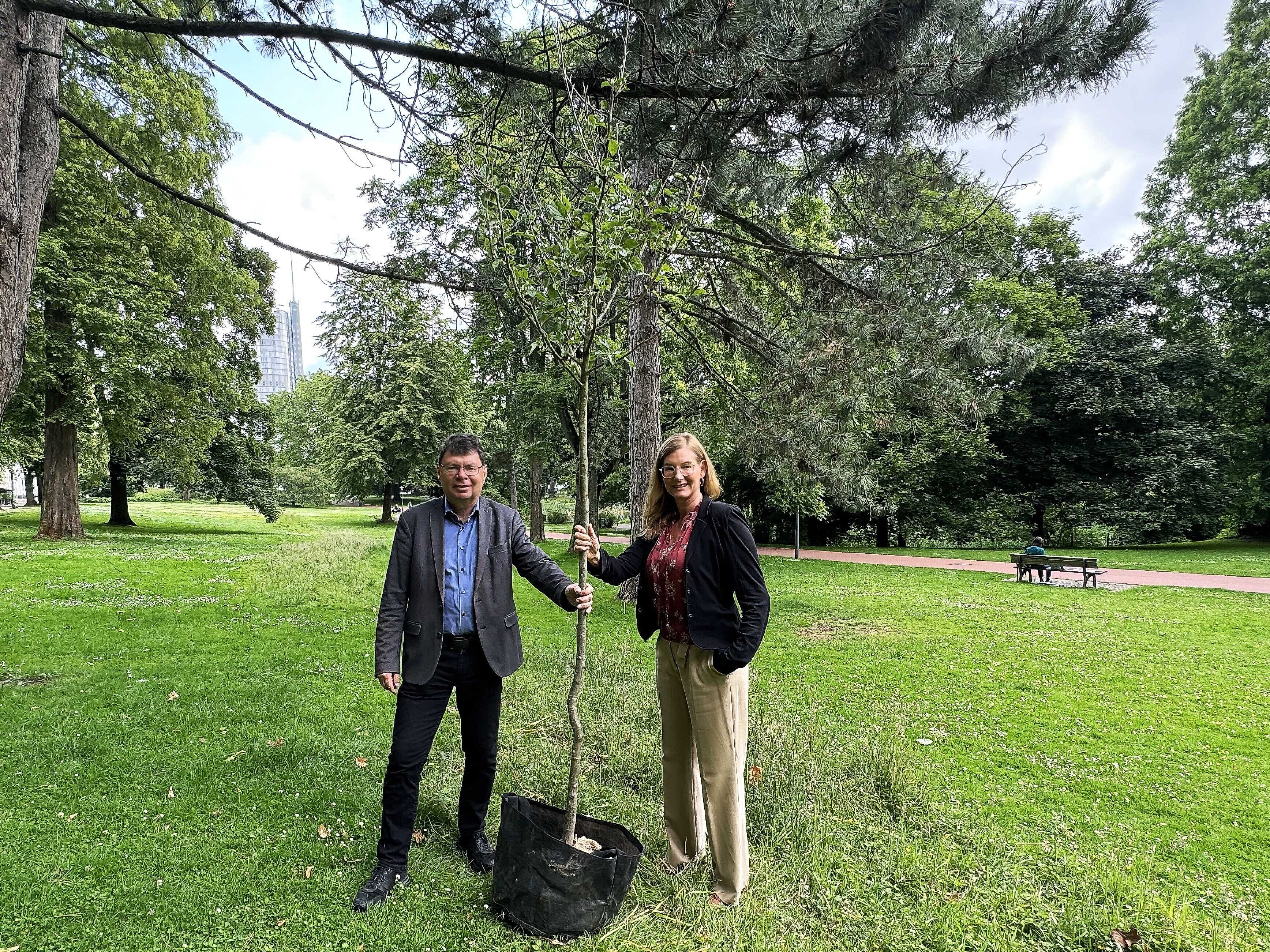 Nina Frense, RVR-Beigeordnete für Umwelt und Grüne Infrastruktur (rechts) und Horst Fischer, Geschäftsführer der IGA Metropole Ruhr 2027 gGmbH, halten gemeinsam einen Baum in der Hand.