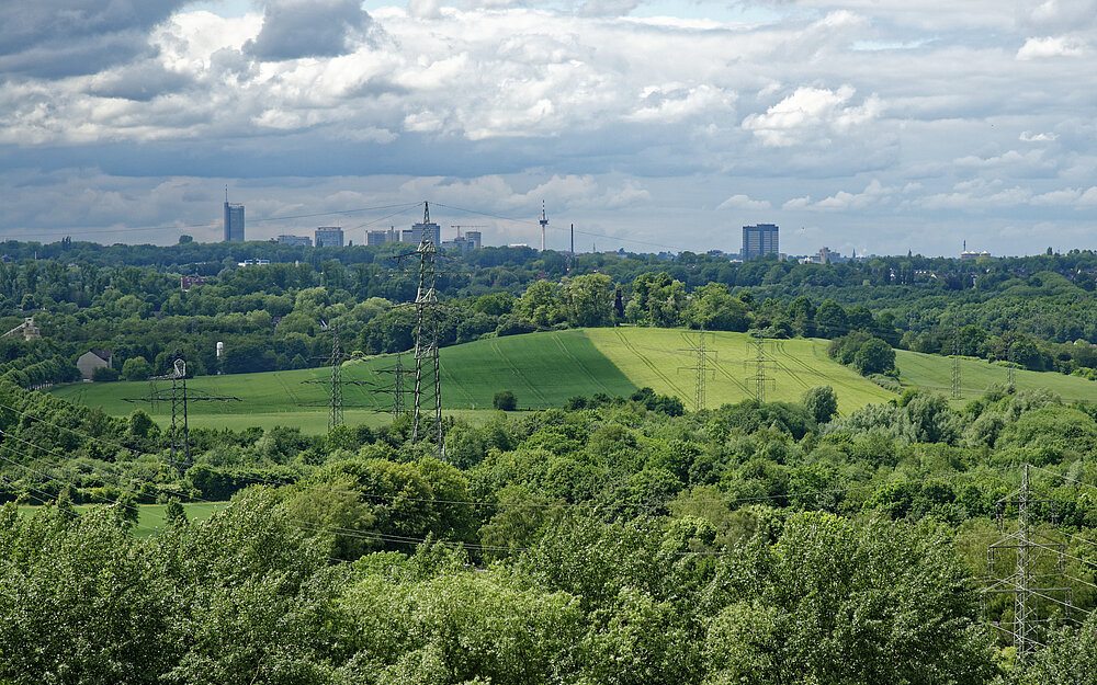 Blick über den Landschaftspark Mechtenberg, 2016.