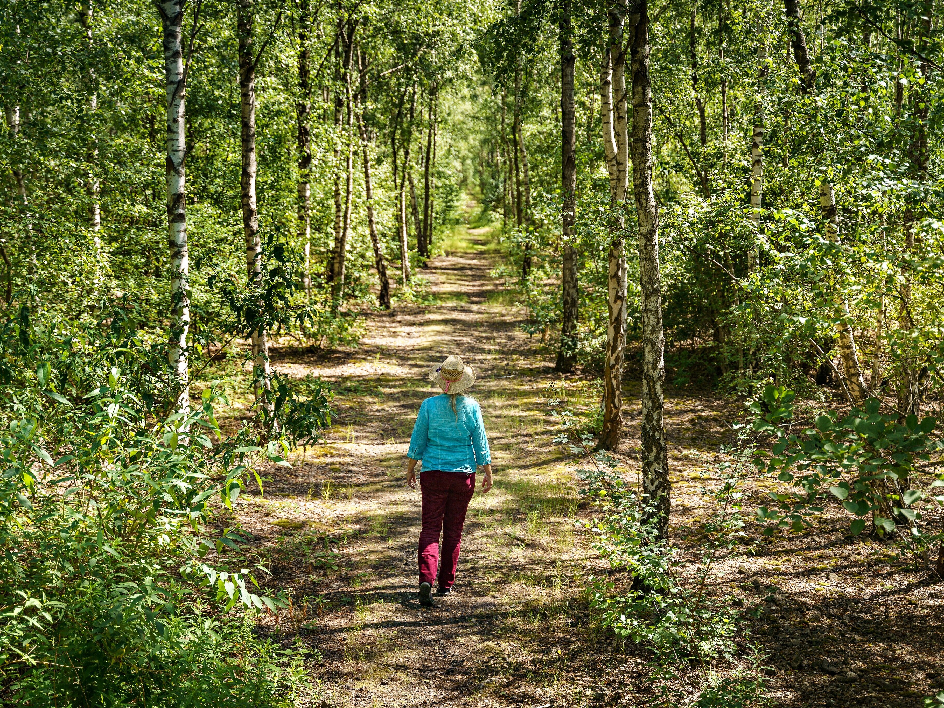 Eine Person läuft über einen Waldweg umgeben von Bäumen.