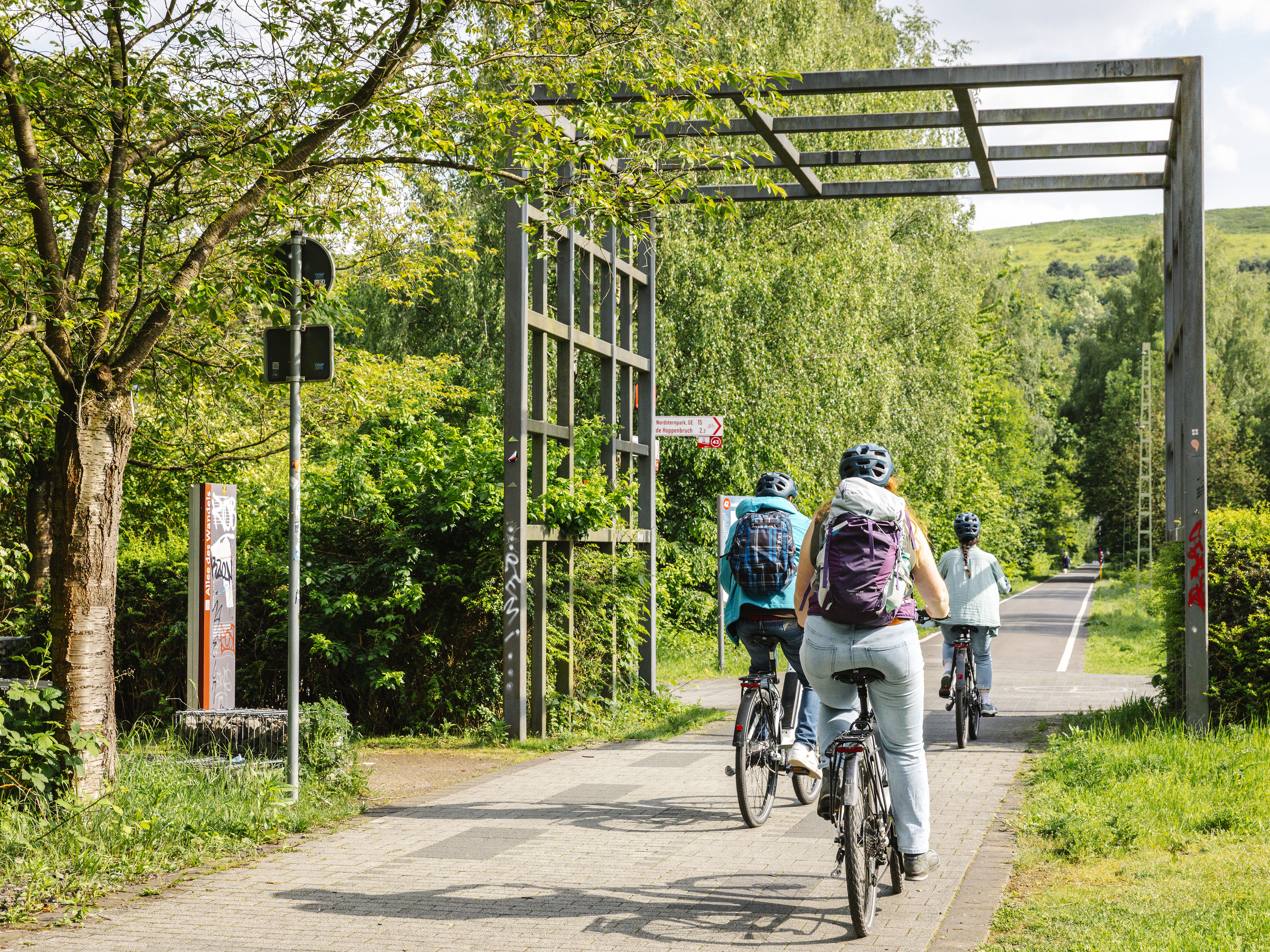 Eine kleine Gruppe Fahrradfahrer fahren über die Allee des Wandels Richtung Halde Hoheward.