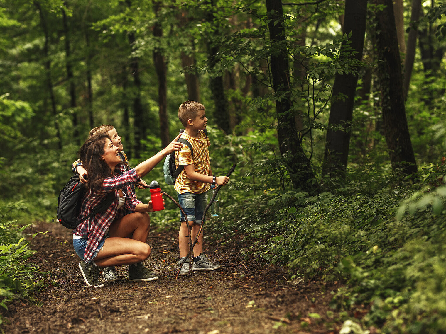 Kinder auf einer Exkursion im Wald