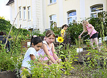 Querbeet Dortmund Querbeet Dortmund