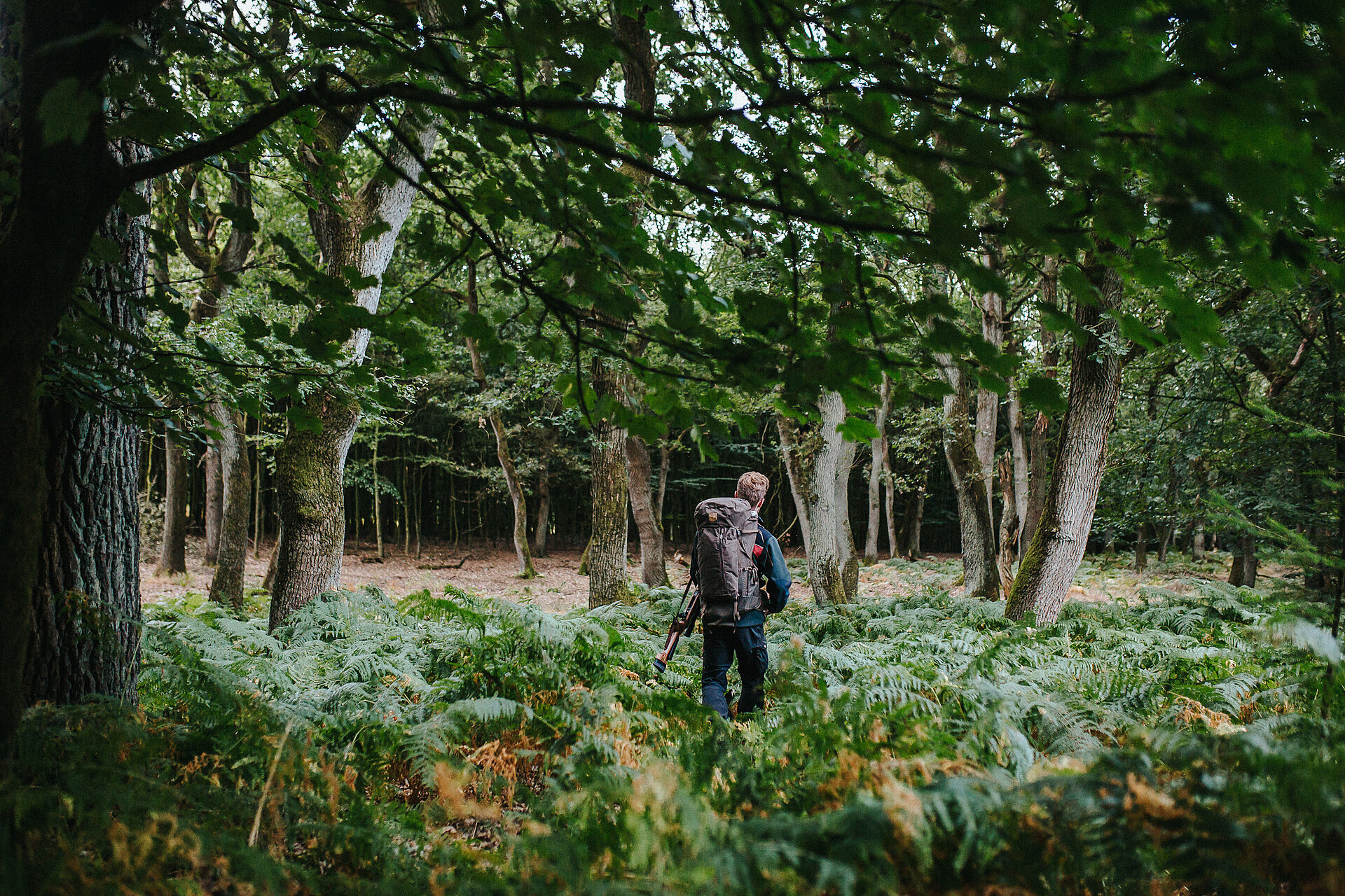 Jäger im Wald