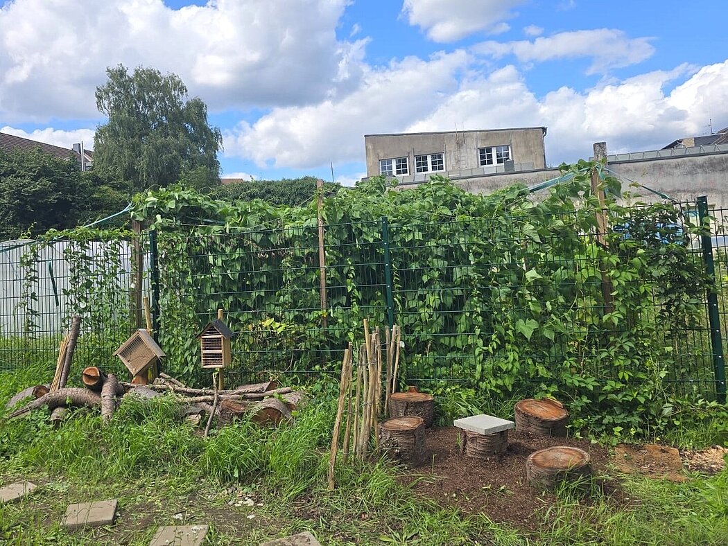 Blick auf zwei am Zaun hängende Insektenhotels und auf dem Boden liegende Äste und Stämme. Rechts stehen vier Stammstümpfe als Sitzgelegenheiten und einer in der Mitte als Tisch