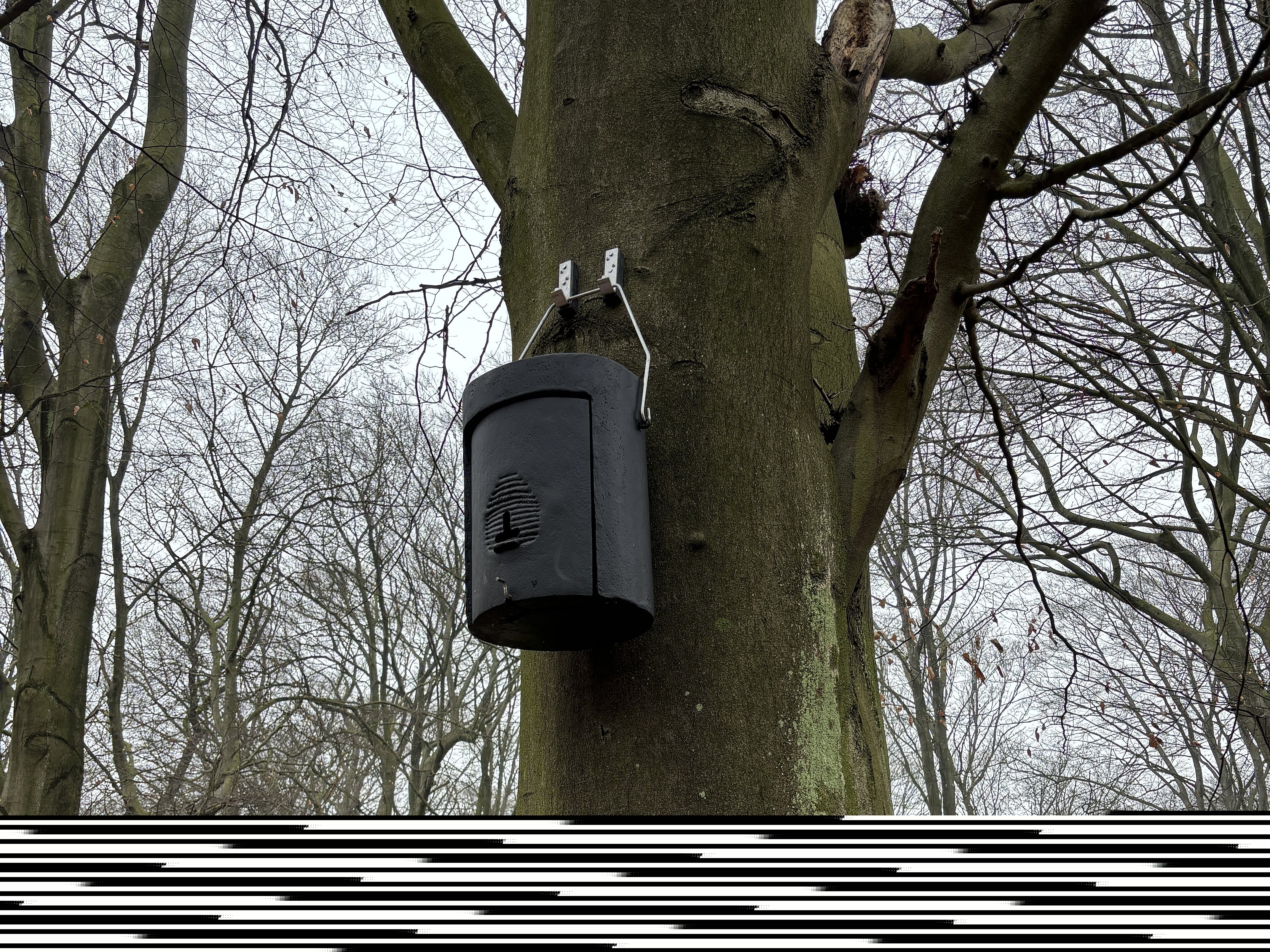 Hängender Fledermauskasten an einem Baum