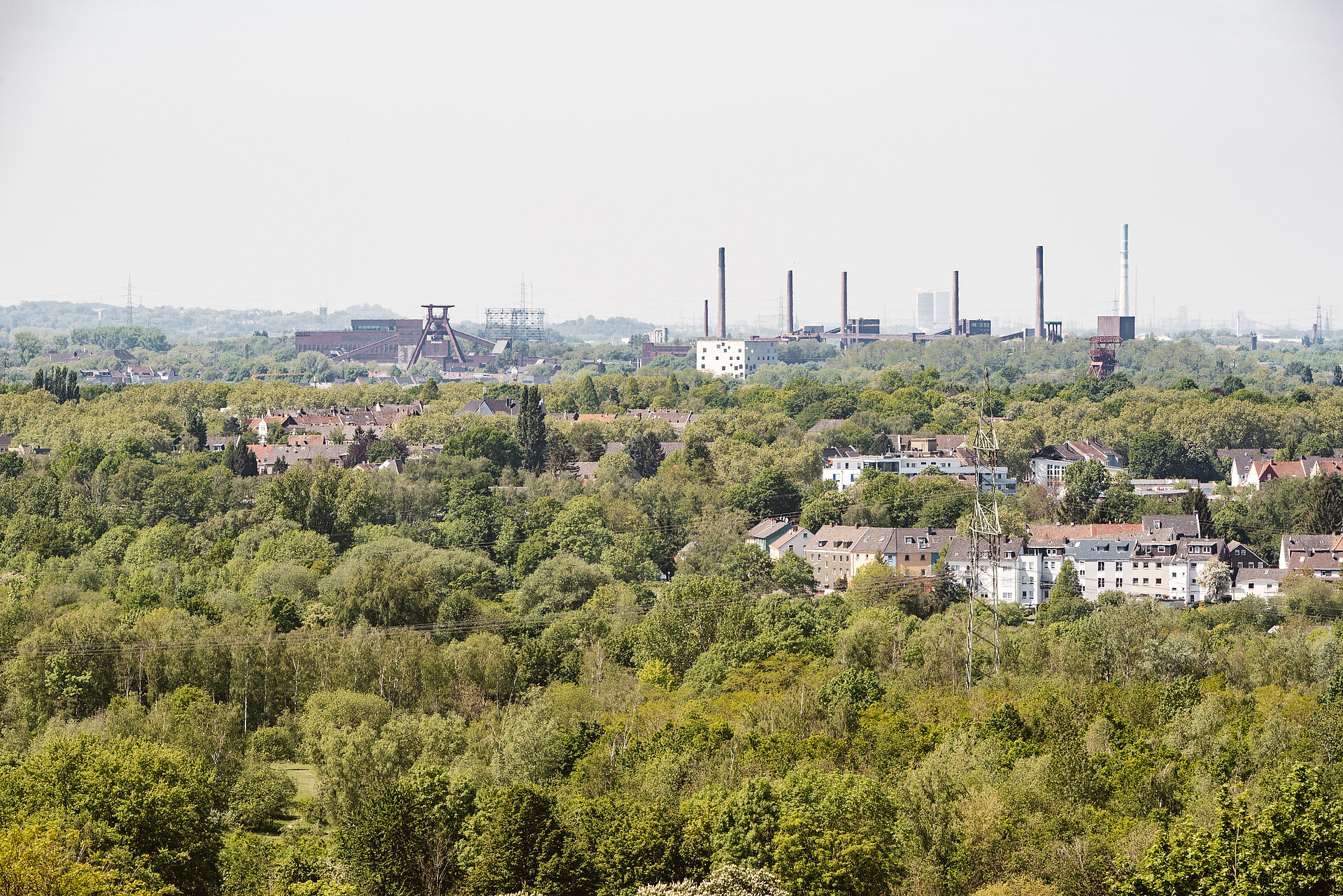 Blick auf das Welterbe Zollverein mit Schacht XII und Kokerei.