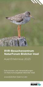 AuenErlebnisse 2023 auf der Bislicher Insel