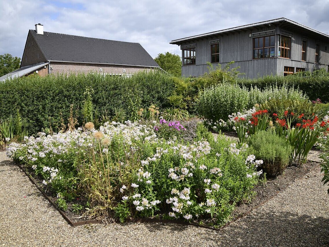 Bunte Blumen verzieren einen Bauerngarten