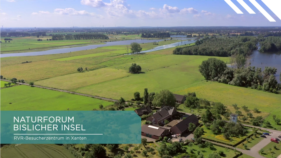 Film hier starten. Titel: Naturforum Bislicher Insel – RVR-Besucherzentrum in Xanten"