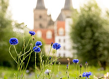DSCF2918-2