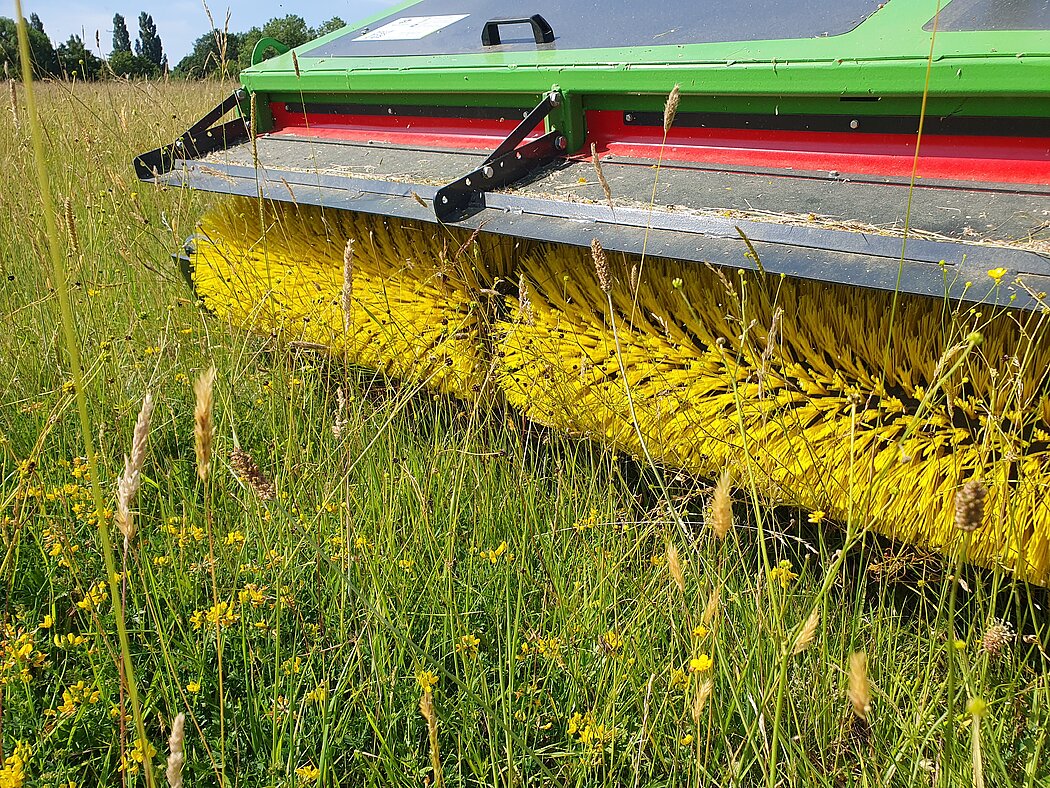 Erntemaschine Wiesefix erntet den Scharfne Hahnenfuß am Auberg