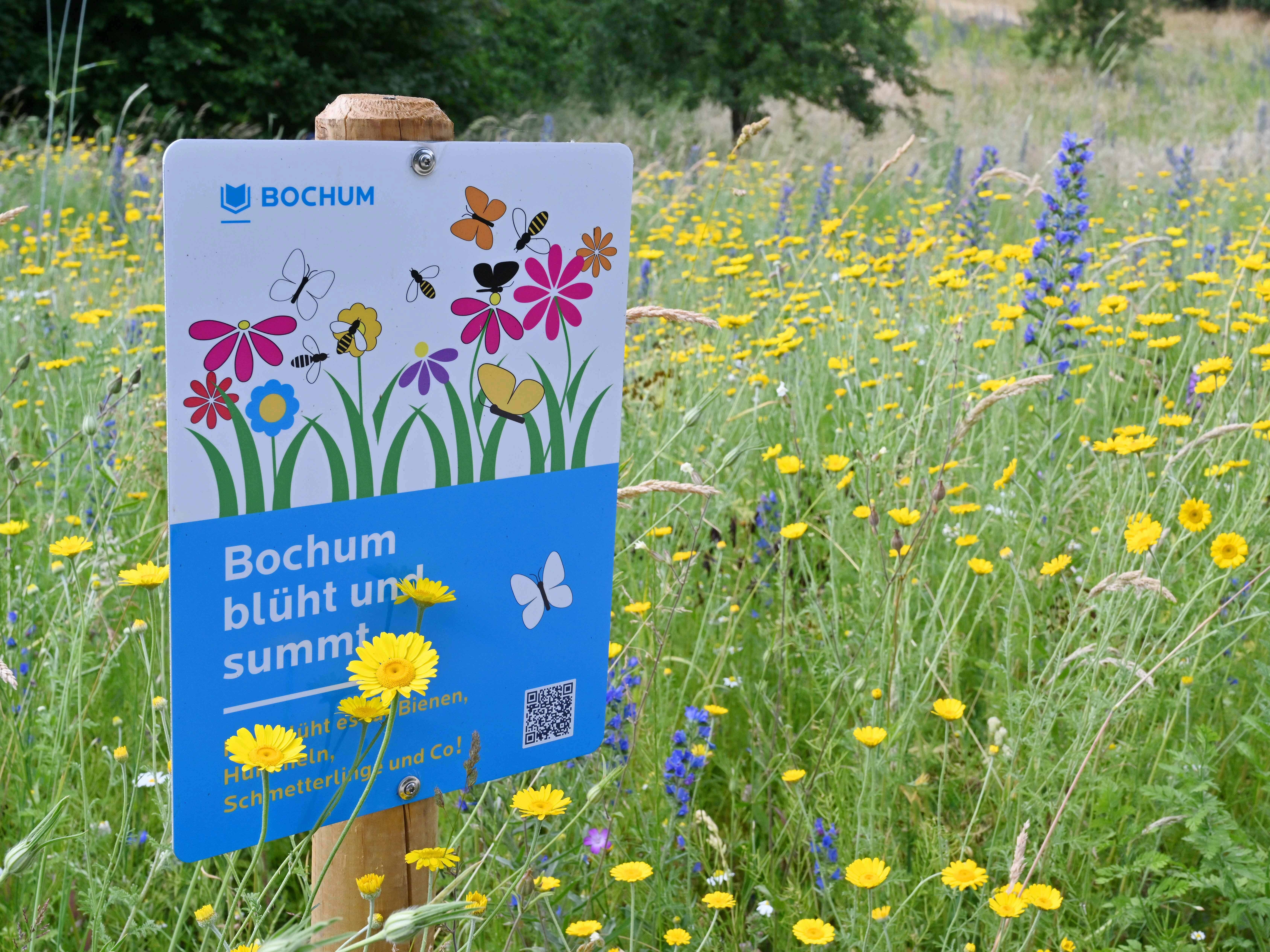 Bunt blühende Wiese mit Beschilderung der Stadt Bochum