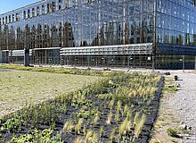 Pflanzenband an der Akademie Mont-Cenis
