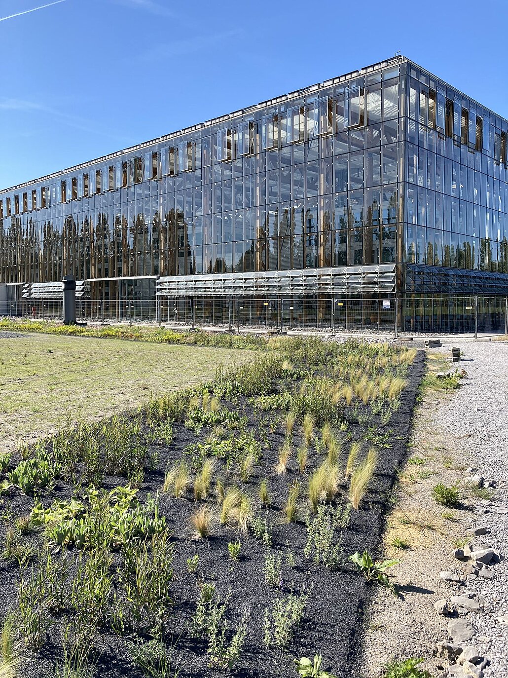 Pflanzenband an der Akademie Mont-Cenis