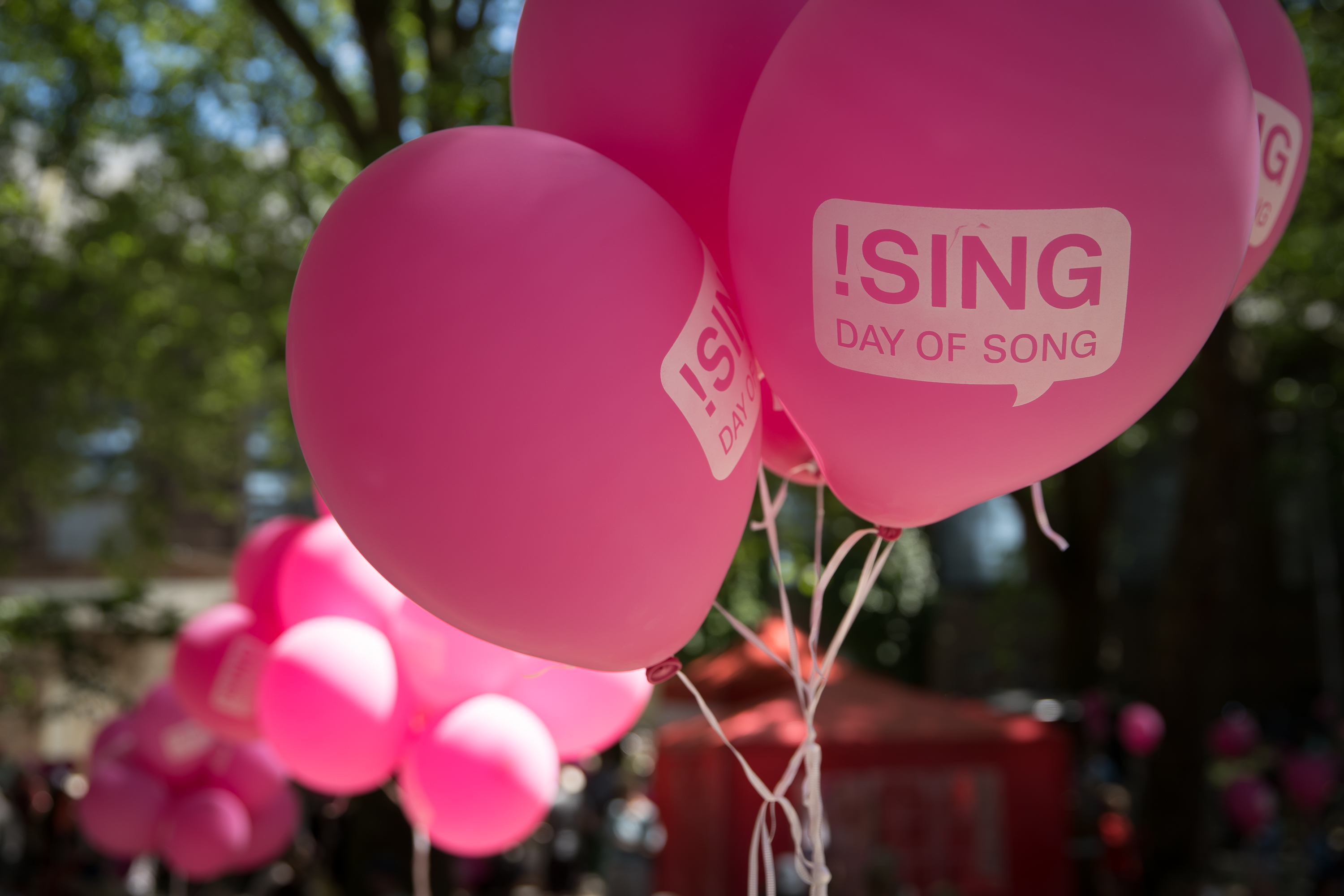 Pinkfarbene Luftballons mit Aufschrift Day of Song.