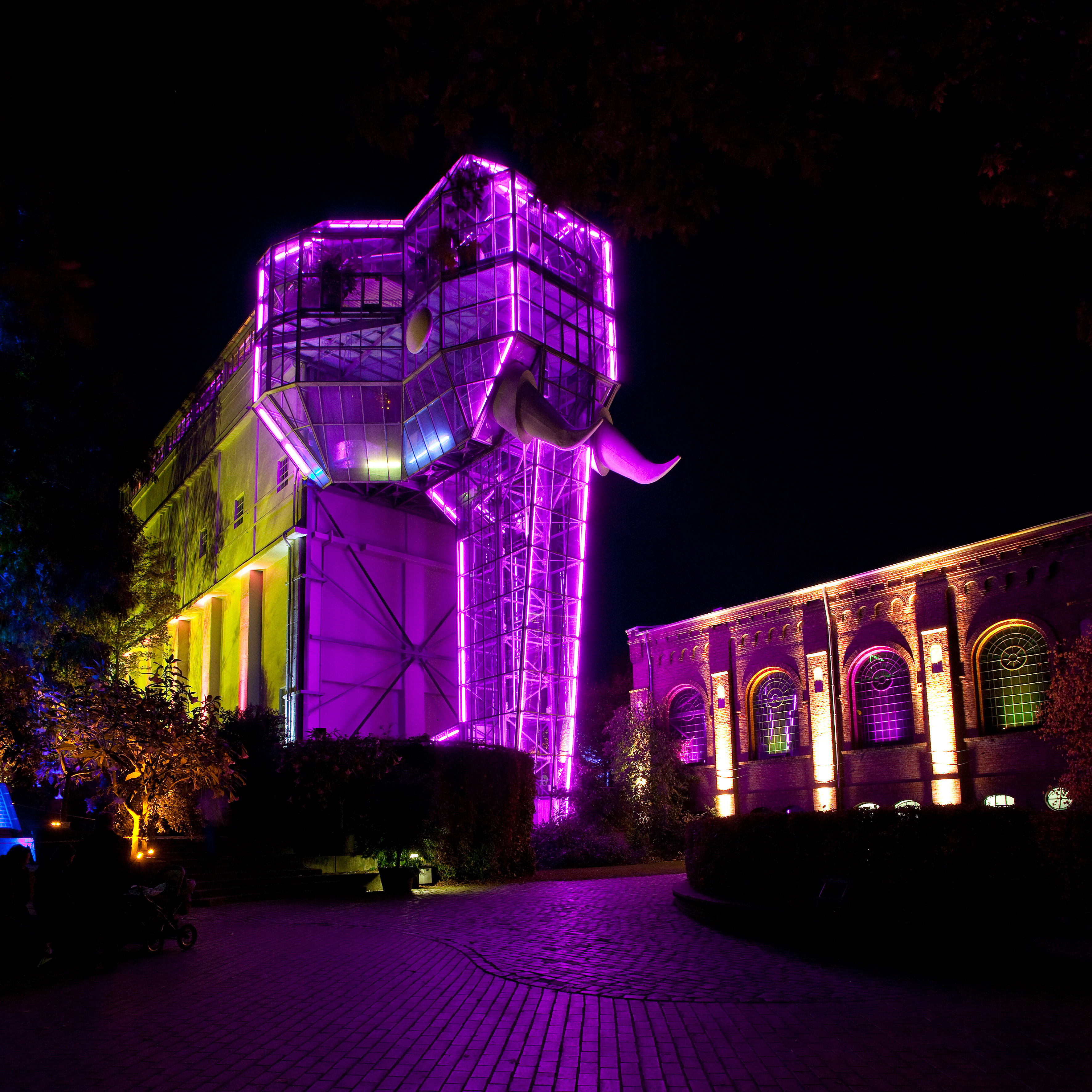 Der Glaselefant im Maximilianpark in Hamm, farbig ausgeleuchtet.