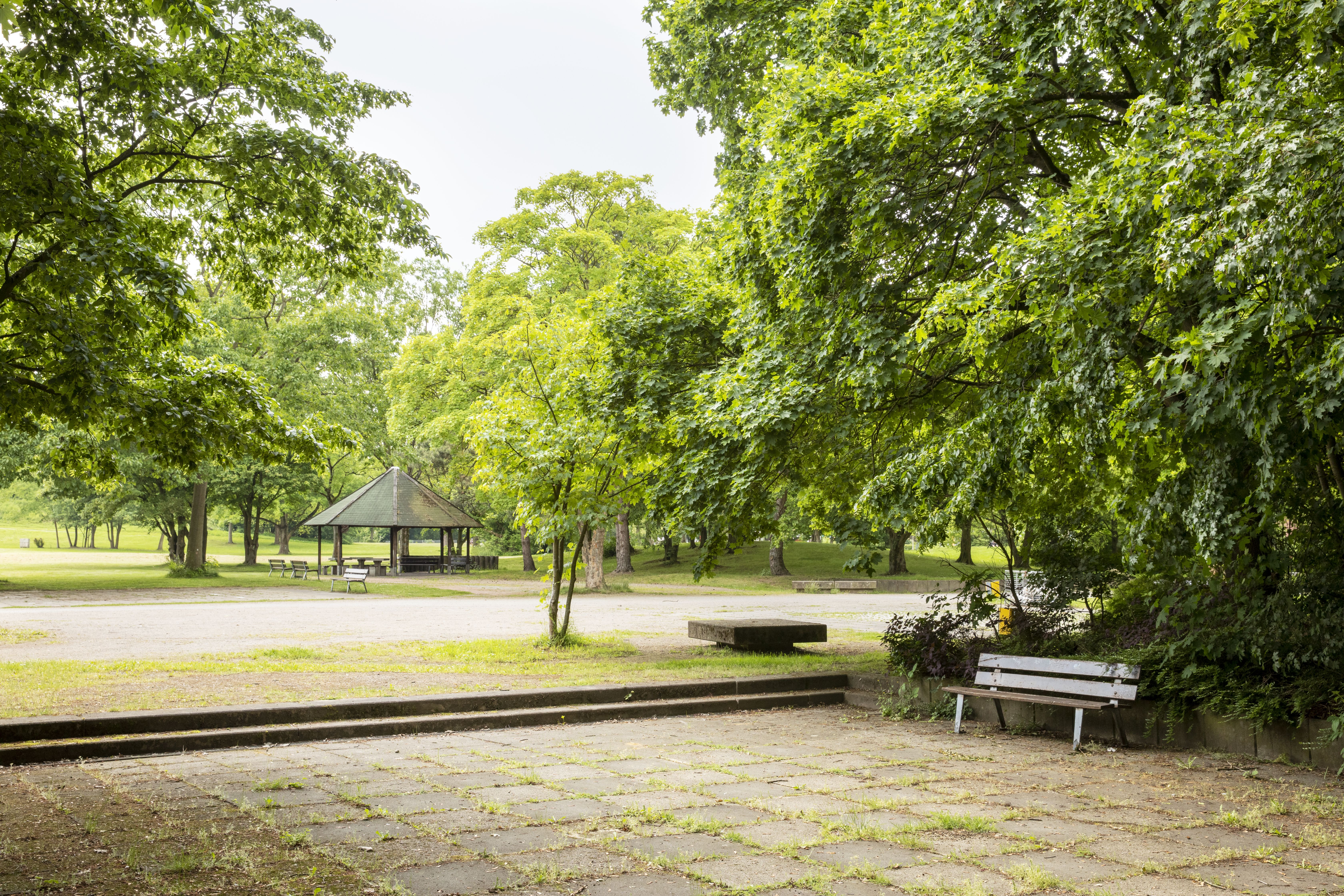 Aufenthaltsfläche im Revierpark Nienhausen.