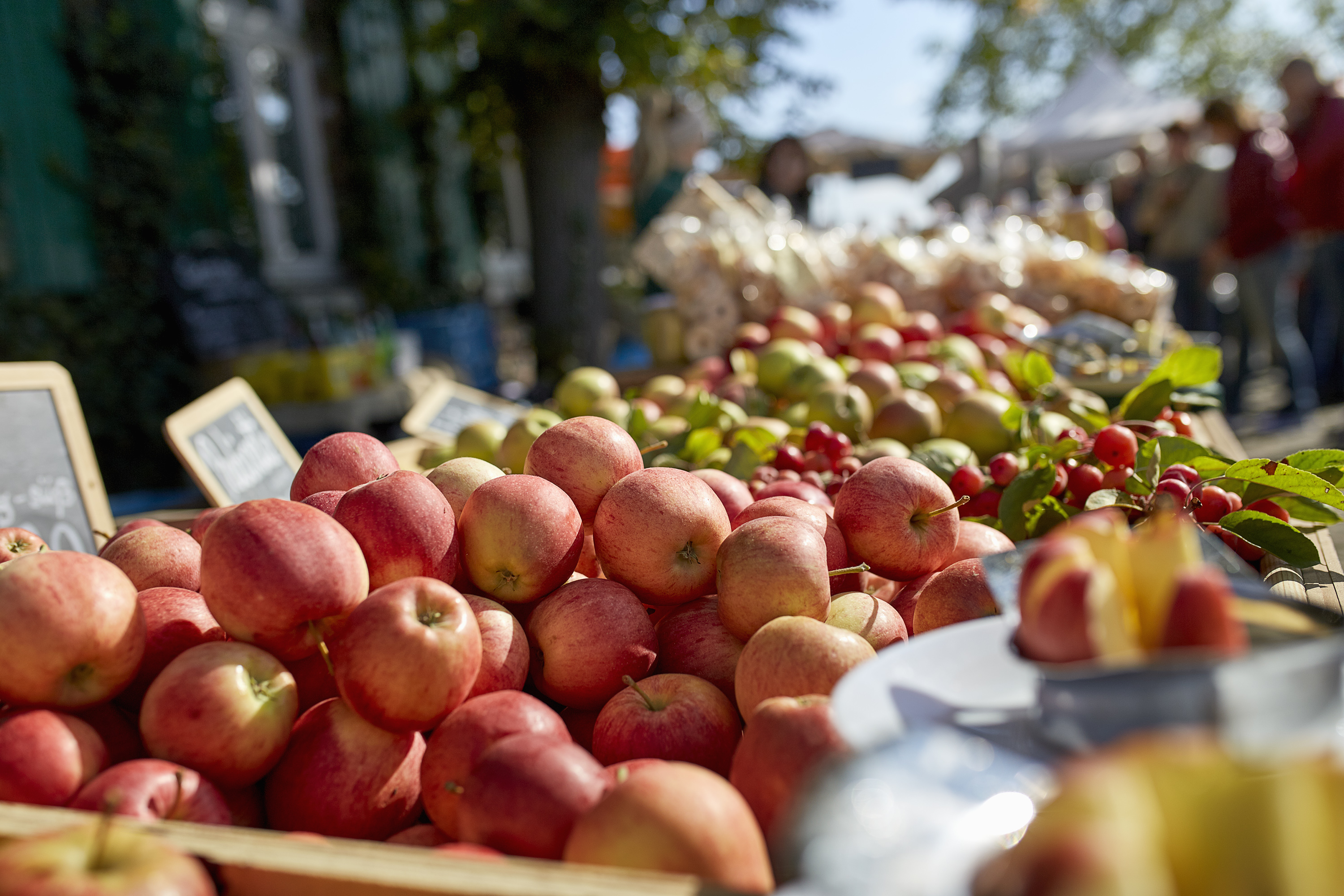 Ein reichhaltiges Angebot erwartet die Besucherinnen und Besucher beim Genussmarkt am RVR-Besucherzentrum Haus Ripshorst in Oberhausen.