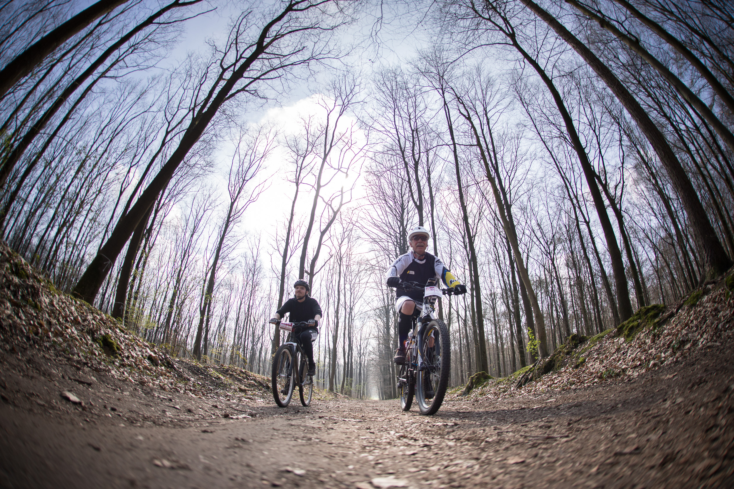 Mountainbiker unterweges im Waldgebiet Haard bei Recklinghausen.