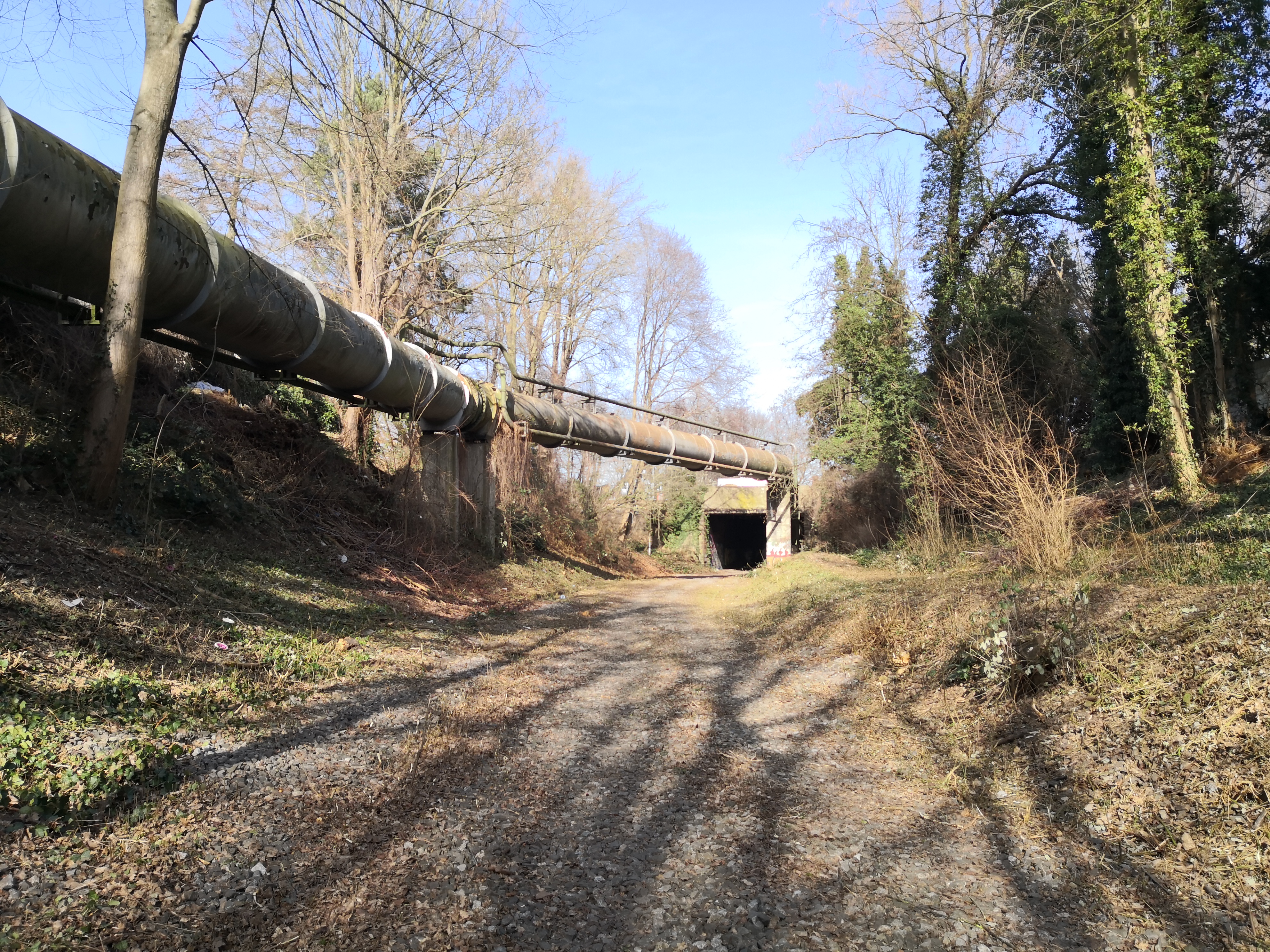 Der Weg ist frei für den weiteren Ausbau des Gartenstadtradweges in Dortmund.