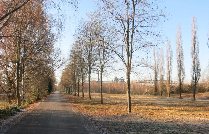 Asphaltierter Abschnitt Gartsträucherstraße des"Grüner Pfads" 