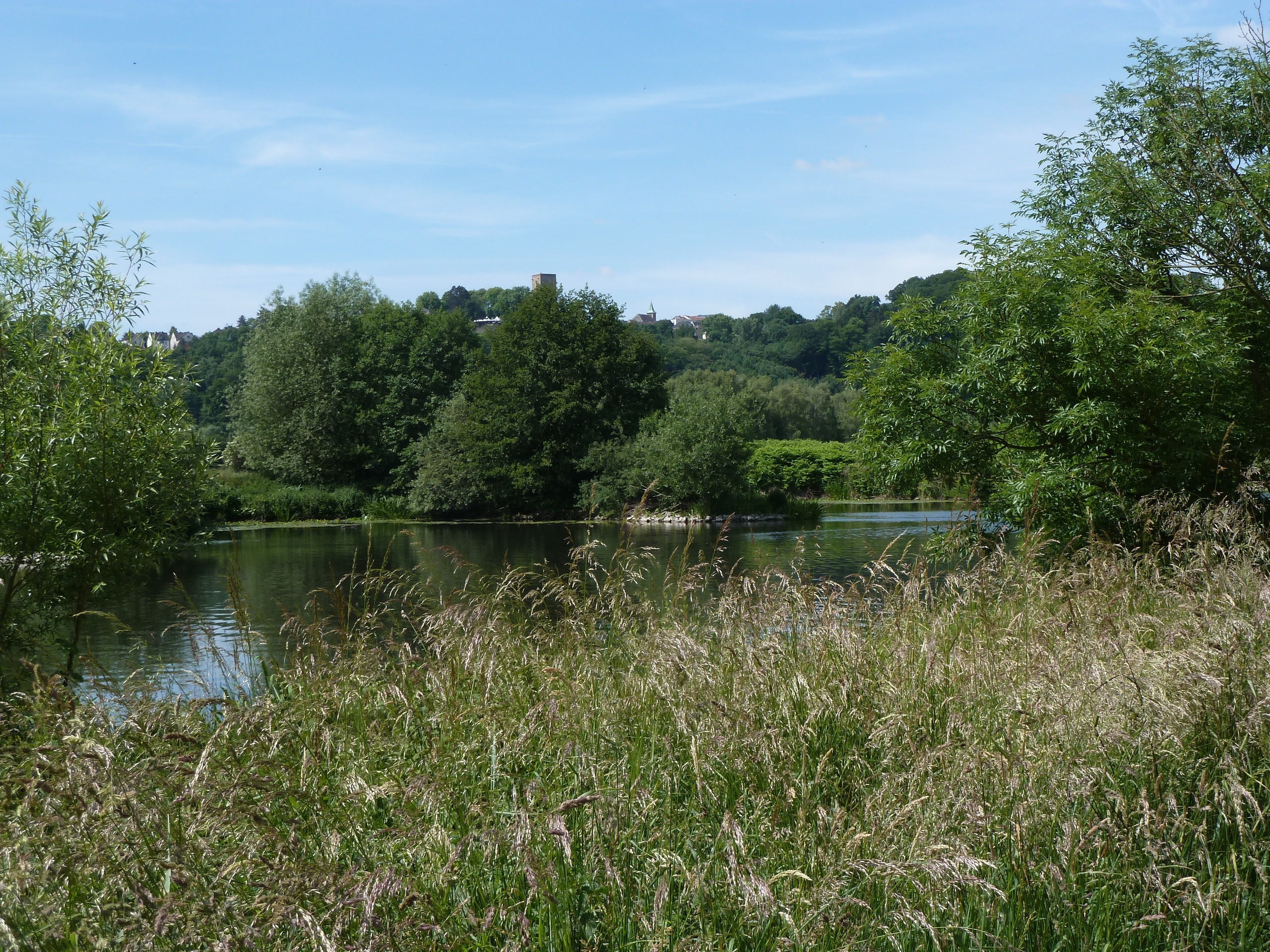 Blick übers Ruhrtal bei Bochum-Stiepel mit Blick auf Burg Blankenstein in Hattingen.