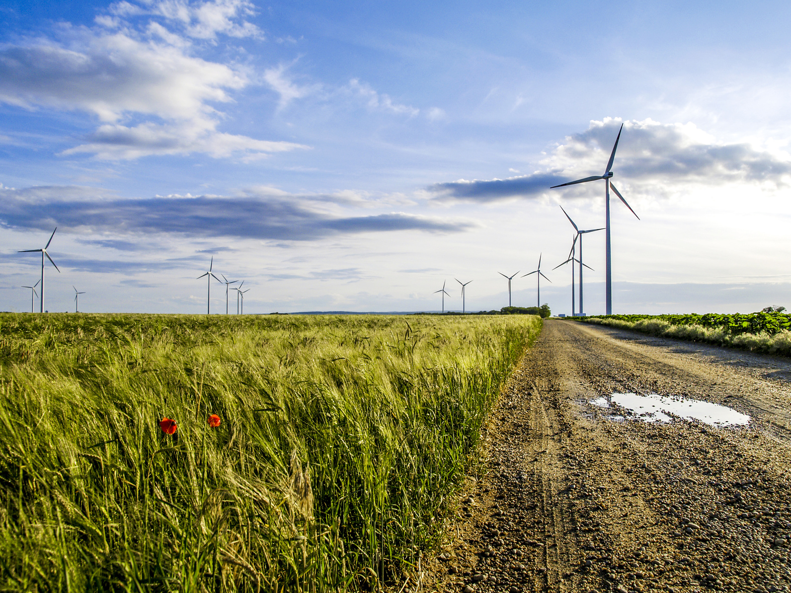 Windpark an einem Feld.