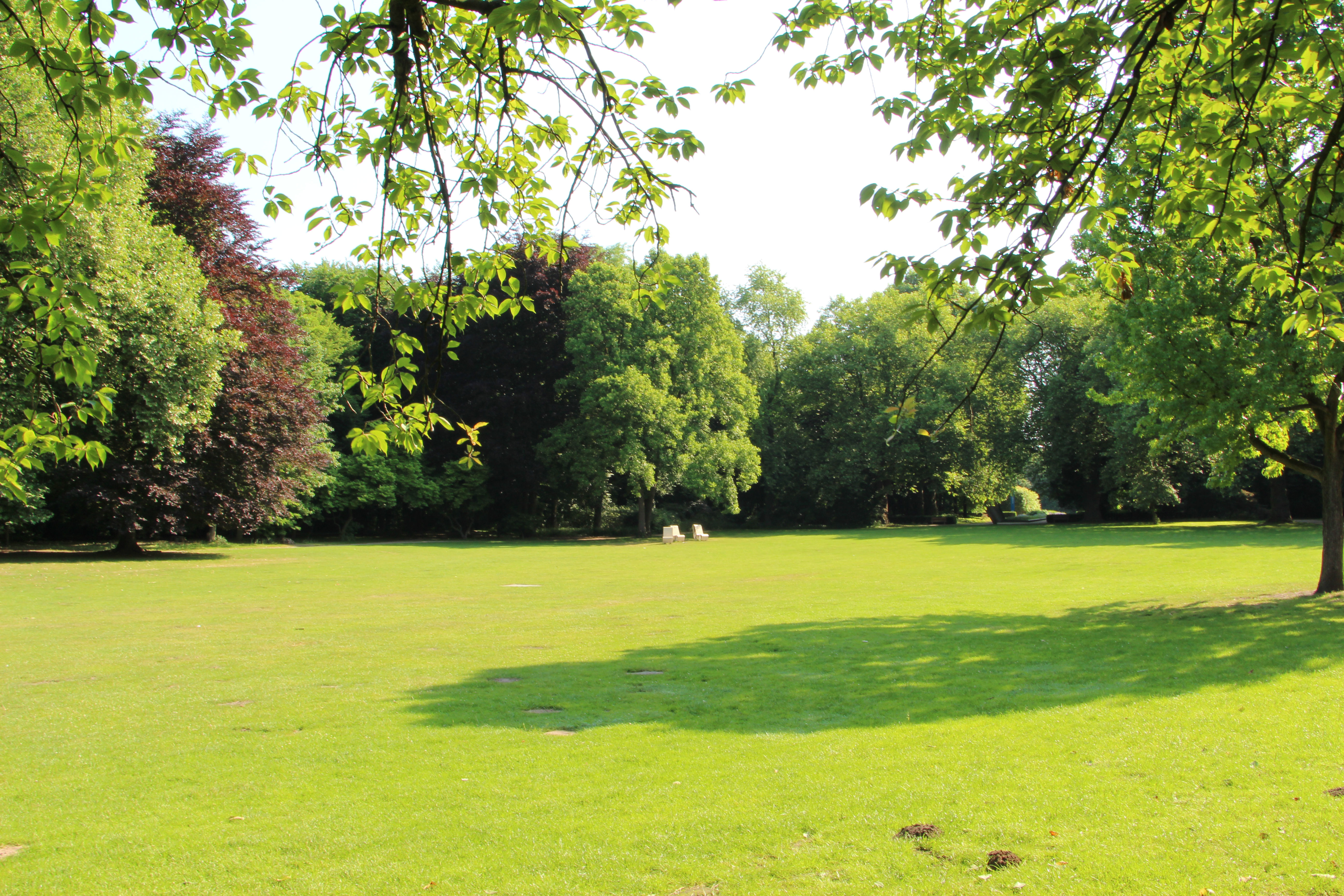 Wiese im Kaisergarten Oberhausen