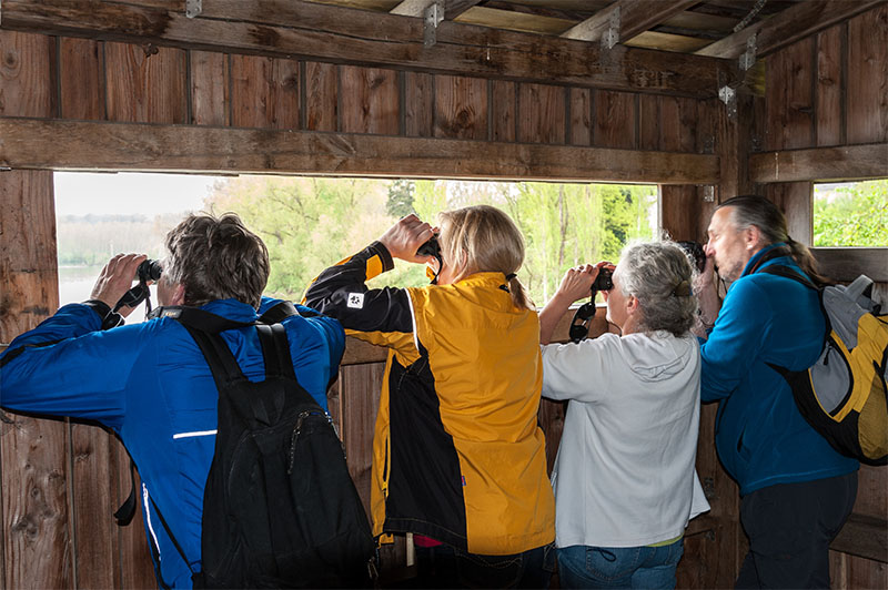 Besucher an einem Vogelbeobachtungspunkt mit Ferngläsern in der Hand.